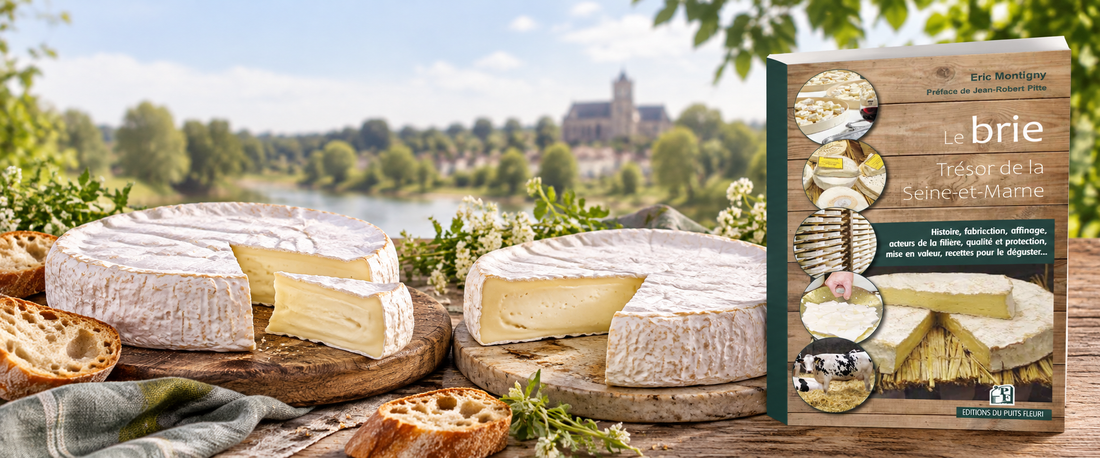 Bannière « Deux bries, un livre, un terroir » : les différences entre le brie de Meaux et le brie de Melun