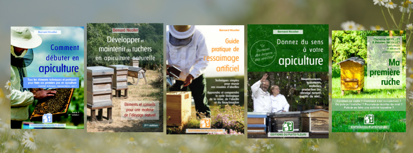 Comment débuter en apiculture : le guide pour se lancer sereinement