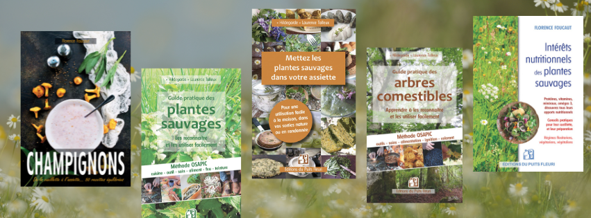 Plantes sauvages comestibles : 5 règles pour débuter la cueillette en toute sécurité