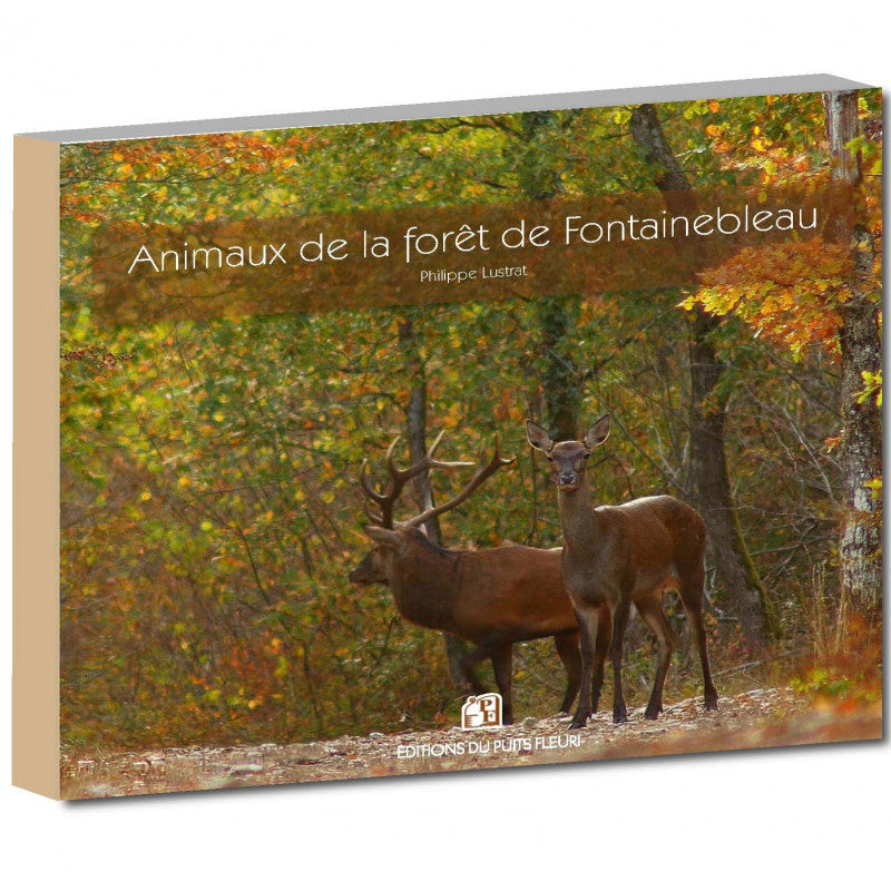 Animaux de la forêt de Fontainebleau