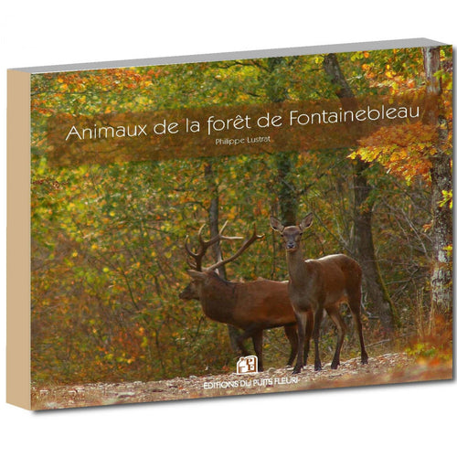 Animaux de la forêt de Fontainebleau